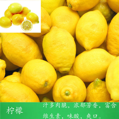 5斤包邮 新鲜柠檬现摘黄柠檬当季绿金桔柠檬青柠檬一件代发包售后图3
