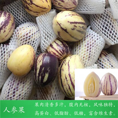 5斤包邮 新鲜人参果现摘时圆果人生果长果令水果 一件代发包售后图3