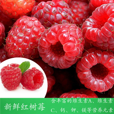 2斤包邮 新鲜红树莓速冻覆盆子美味红覆盆子冰冻冷链代发货包售后