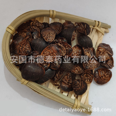 批发 土鳖虫 土元图2