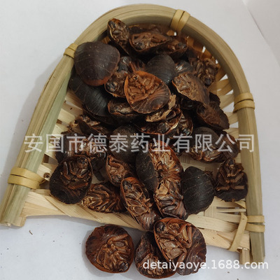 批发 土鳖虫 土元图3