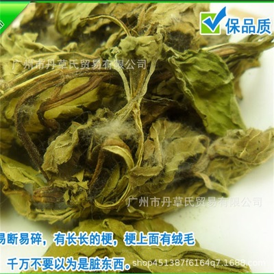 薄荷叶 散装批发清凉茶 厂家批发花草茶量大从优另有薄荷粉500克图1