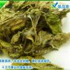 薄荷叶 散装批发清凉茶 厂家批发花草茶量大从优另有薄荷粉500克