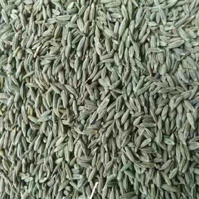 印度孜然散装 免费打粉散装孜然粒 烧烤调味料孜然撒料腌料批发图3
