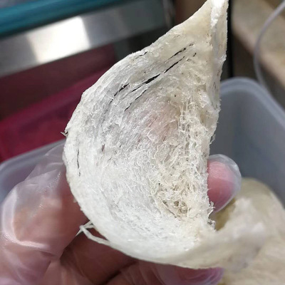干挑燕盏 实惠燕盏干挑燕盏传统可烹调食品 盒装送礼足干密盏批发图2