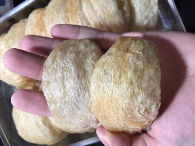 泰国燕窝 黄金丝燕盏 湿挑大盏 大燕盏好好好品质图2