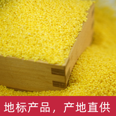 2019年新米 东北朝阳黄小米400g/袋 厂家批发建平小米 代加工OEM图2