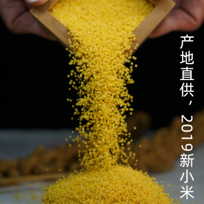 2019年新米 东北朝阳黄小米400g/袋 厂家批发建平小米 代加工OEM图3