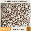 青海蚕豆 700规格蚕豆货源充足量大优惠 蚕豆厂家批发