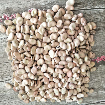 青海蚕豆 700规格蚕豆货源充足量大优惠 蚕豆厂家批发图3