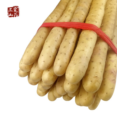 蠡县正宗小白嘴白山药新鲜淮山药粗大现挖5斤包邮比垆土铁杆更糯图1