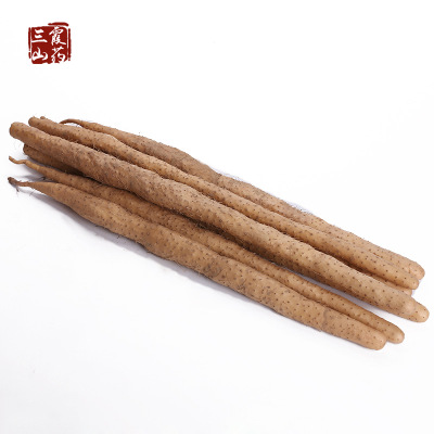 蠡县正宗小白嘴白山药新鲜淮山药粗大现挖5斤包邮比垆土铁杆更糯图2