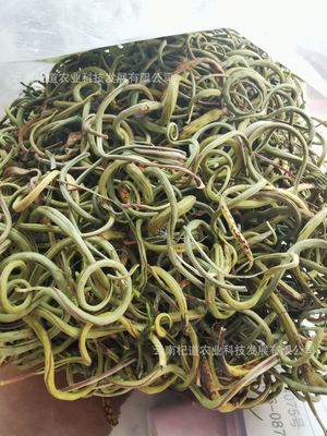 化石草批发天然肾茶肾草 500克/袋正品 全干货色泽绿口感回甘小叶