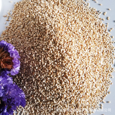 白芝麻 低温烘焙 熟 五谷磨坊 专用 散装批发 厂家批发白芝麻图3