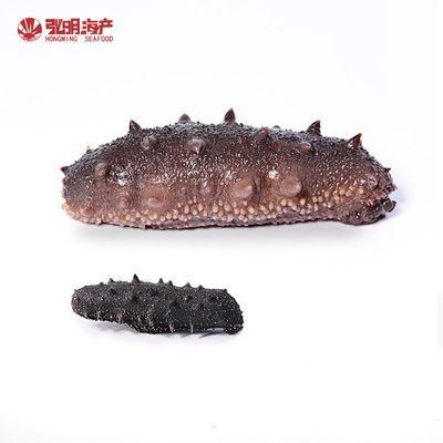 大连淡干海参批发源头工厂支持贴牌50g 辽刺参 大连海参干货图3