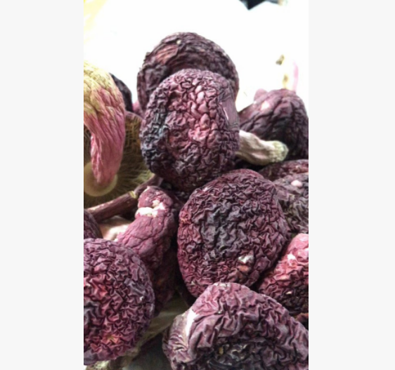 食用菌 精品红菇图1