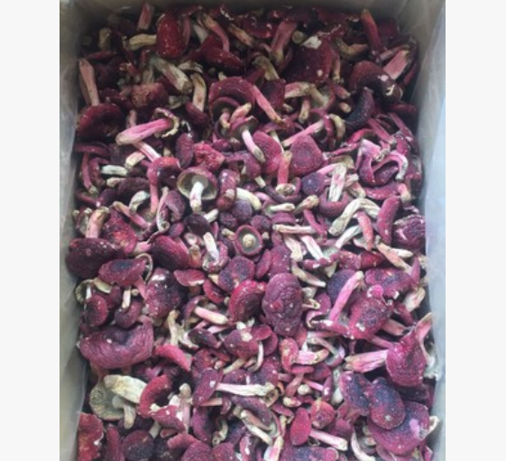 食用菌 精品红菇图3