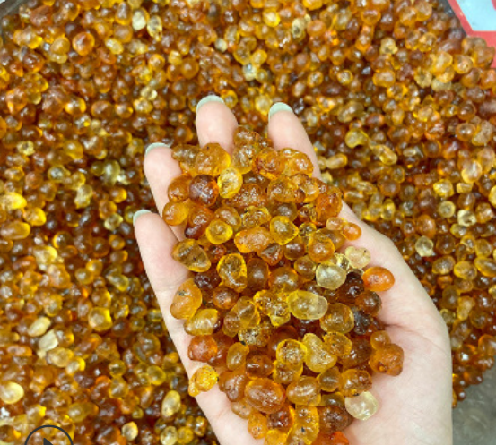 桃胶野生天然食用老树桃胶雪燕皂角米组合图1