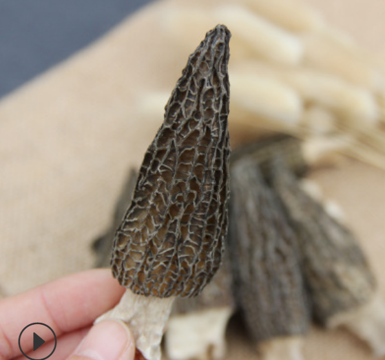 四川土特产羊肚菌干货食用菌250g特价火锅食材煲汤菌菇图2