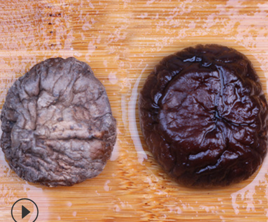 金钱菇150g 云南特产菌菇干货厂家支持OEM贴牌图3