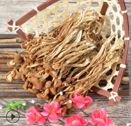 厂地直供古田茶树菇菌类干货农副产品新货不开伞农家500g图2