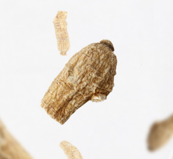 西洋参整枝粒头长白山产花旗参段500g精选花期叁大中小西洋参图3
