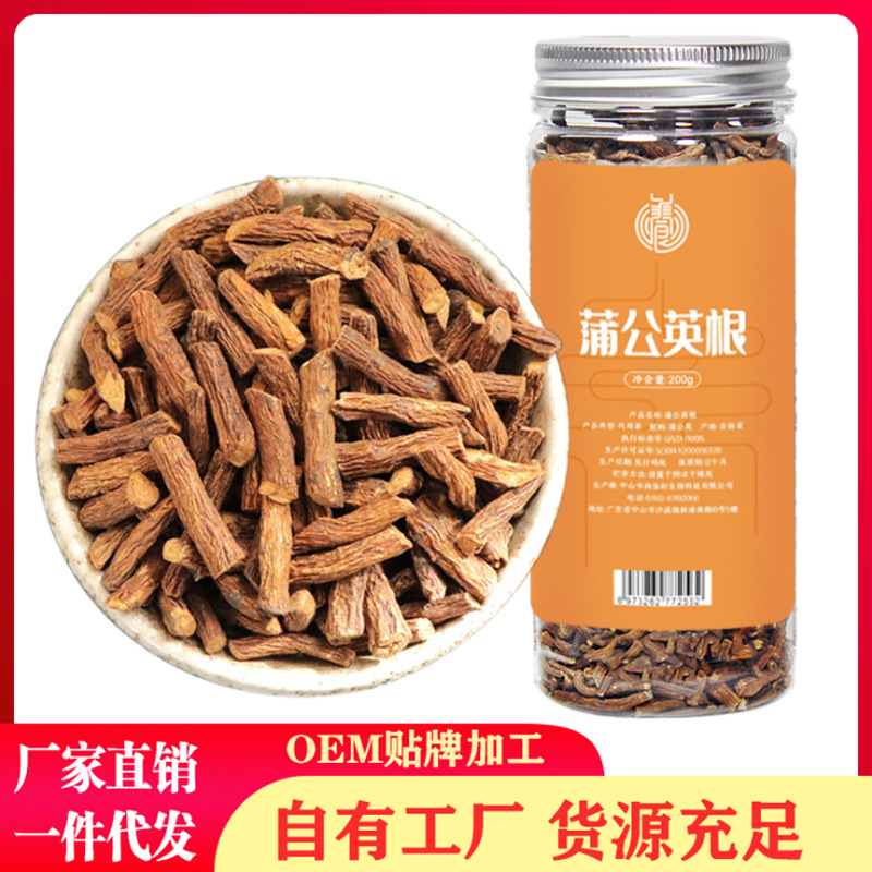 蒲公英根菊花长白山蒲公英茶婆婆丁茶0EM贴牌代加工一件代发