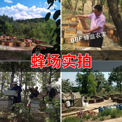 2020年农家自产原蜜桶装蜂蜜41波美度枣花蜜/洋槐蜜/零售批发图2