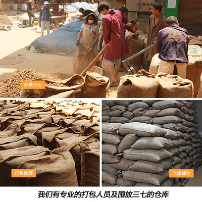 云南文山三七头 田七中药材 水洗无腊 现货可代打粉 产地直销批发图2