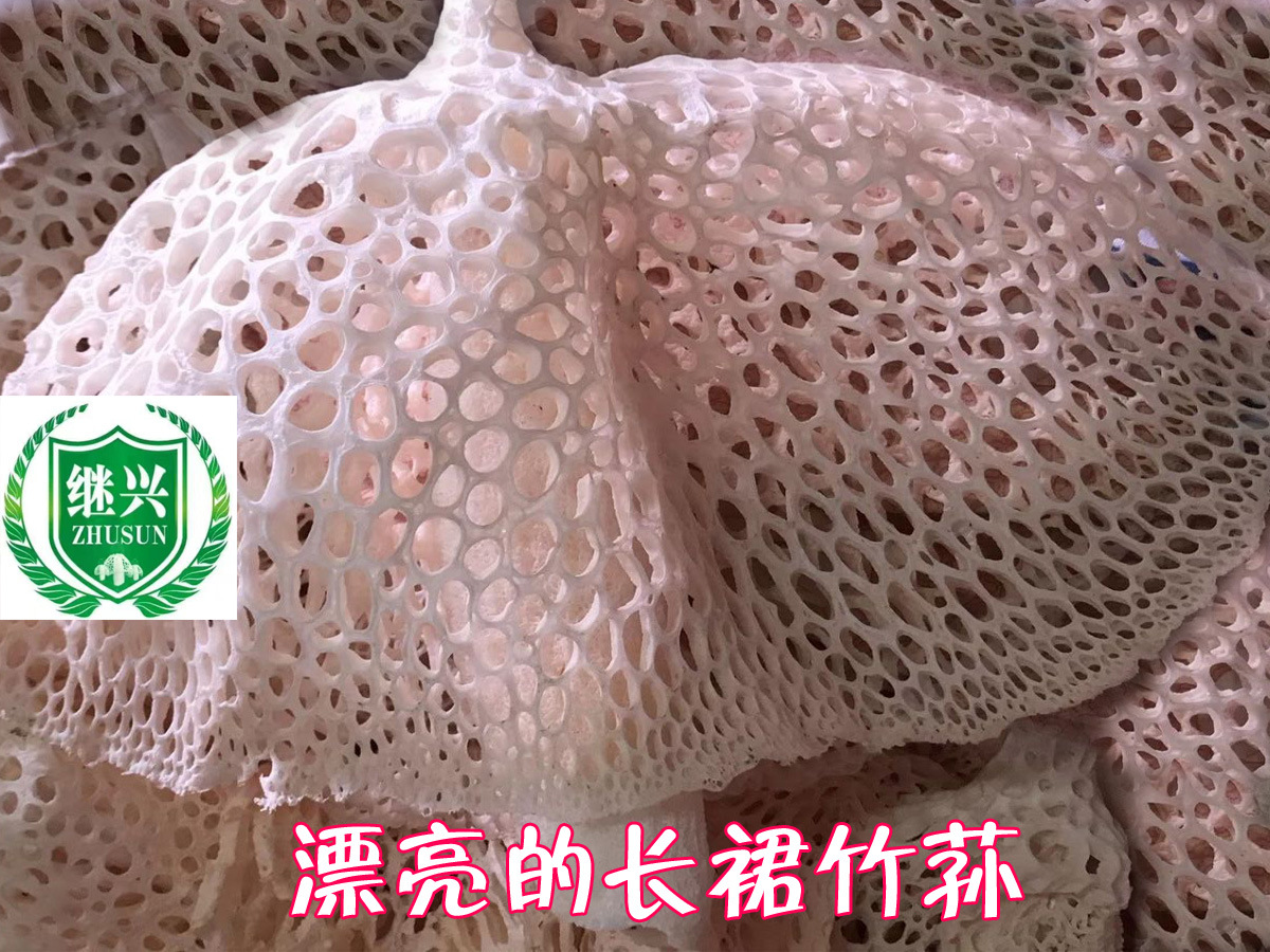长裙竹荪 13-17cm 260元/500克