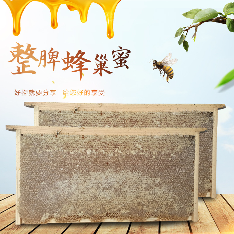 新脾整张荆条蜂巢蜜厂家批发 封盖95%成熟格子蜜整脾木箱土蜂蜜