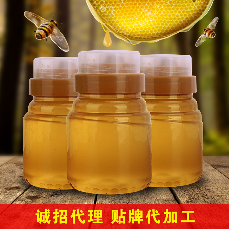 【工厂直供】蜂蜜批发500g土蜂蜜百花蜂蜜制品一件代发贴牌代加工