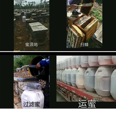 500g枣花蜂蜜 一斤土蜂蜜 蜂蜜厂家批发蜂蜜代理批发图2