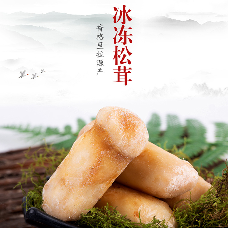 出口品质 冰冻松茸云南山珍食用菌菇冬季煲汤食材菌子新鲜松茸