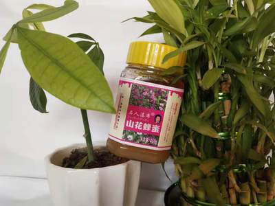 石人瀑布山花蜂蜜 460g包装销售 山西自产蜂蜜 质量保障图2