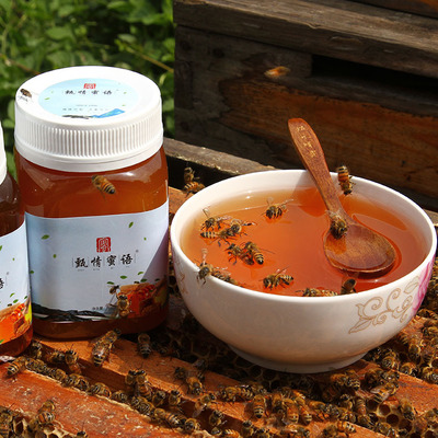 甄情蜜语农家土蜂蜜500克百花结晶蜂蜜蜂场厂家直销百花一件批发图3