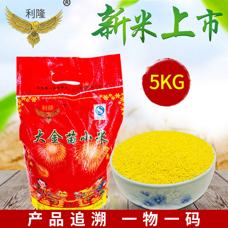 新米袋装5kg赤峰小米 月子米 营养杂粮小米 米脂黄小米