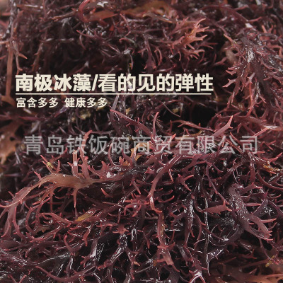 南极冰藻 冰藻干货 250克凉拌菜 海草龙须菜海藻石花菜包邮图3