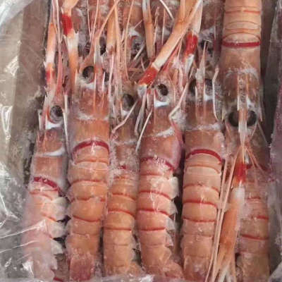 批发供应 新西兰小龙虾 餐厅专用食材 水产海鲜食品 2#图2