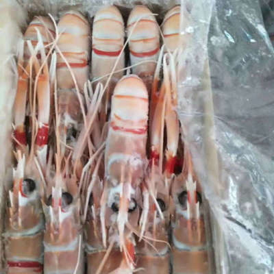 批发供应 新西兰小龙虾 餐厅专用食材 水产海鲜食品 2#图3