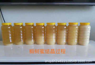 东北椴树雪蜜图2