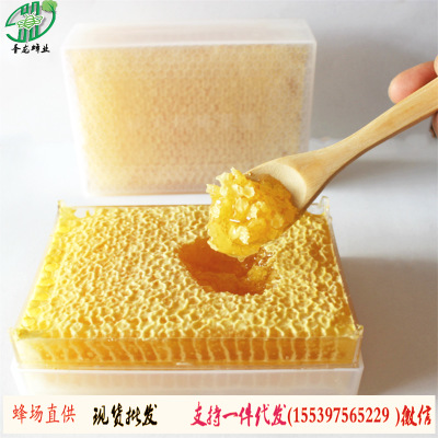 蜂巢蜜现货批发500g250g百花巢蜜荆条巢蜜农家土特产蜂场直供巢蜜