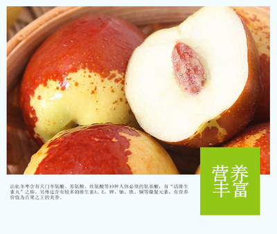 【沾化冬枣】山东当季新鲜采摘冬枣水果2斤5斤净重一件代发图3