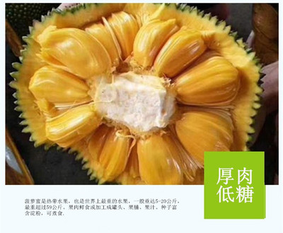 【海南菠萝蜜】当季新鲜采摘海南干苞菠萝蜜8斤到25斤一件代发图3