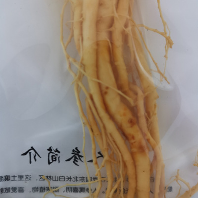保鲜参新鲜人参大支整根白参东北特产吉林长白山野山参片泡酒煲汤图2