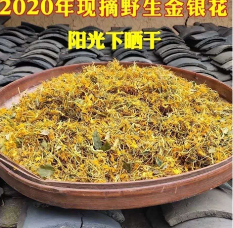 金银花茶农家金银花茶茶花草茶原料