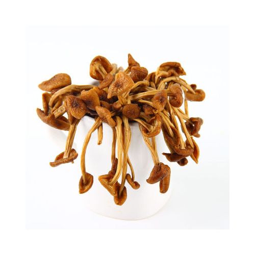 不开伞茶树菇农家自产茶薪菇炖罐烫煲菌类干货食材2斤批发包邮