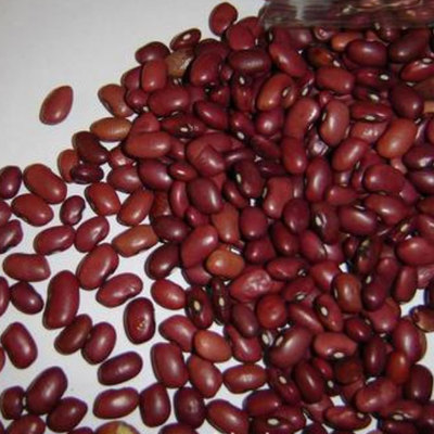 五谷磨粉原料五谷杂粮批发 豆浆原料 低温烘焙红芸豆 熟红芸豆