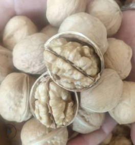 新疆阿克苏薄皮核桃 散装称重5斤包邮一手货源经常用脑多吃核桃