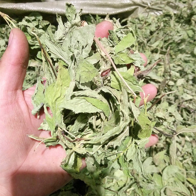 批发供应花草茶薄荷叶茶薄荷叶颗粒茶OEM贴牌加工中药材批发图2